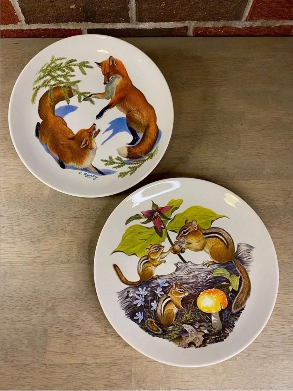 White Ceramic Decorative Plates with Fox & Chipmunk Nature Illustrations